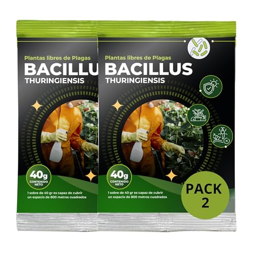 Trabe Bacillus Thuringiensis 2 x 40 g - Zünslerfrei Buchsbaum Plantura – Raupenfrei - Arten von Pflanzen und Pflanzen vor Schädlingen, respektiert Tiere, Umwelt und Menschen Trabe Bacillus Thuringiensis 2 x 40 g - Zünslerfrei Buchsbaum Plantura – Raupenfrei - Arten von Pflanzen und Pflanzen vor Schädlingen, respektiert Tiere, Umwelt und Menschen von GROWMANIA.ES