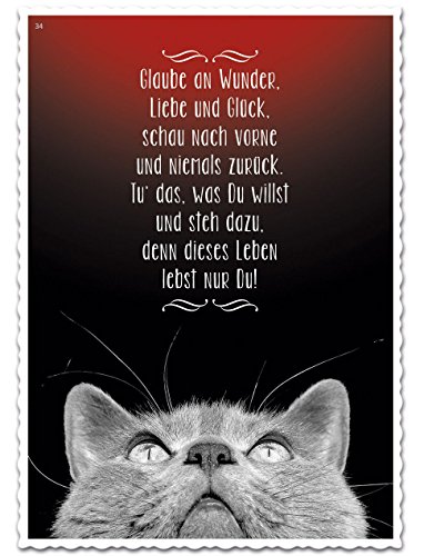 Postkarte - Poesie - Glaube an Wunder - 34 von GRUSS & CO