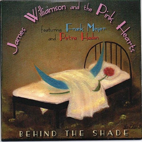 Behind the Shade [Vinyl LP] von GSR