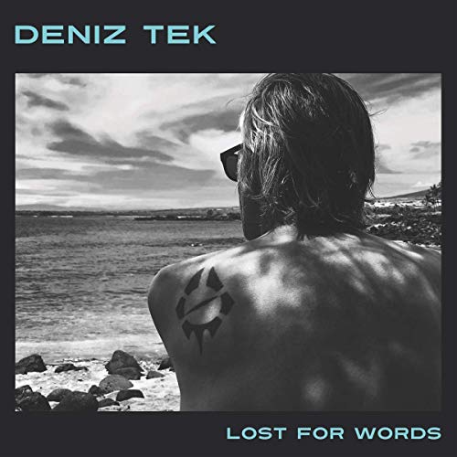 Lost for Words [Vinyl LP] von GSR