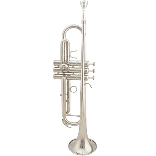 Profi Trompete Blasinstrument Gold Lackiert B Trompete Instrument Gold Silber Lackiert(Color:Silver) von GUIXNYUNQ