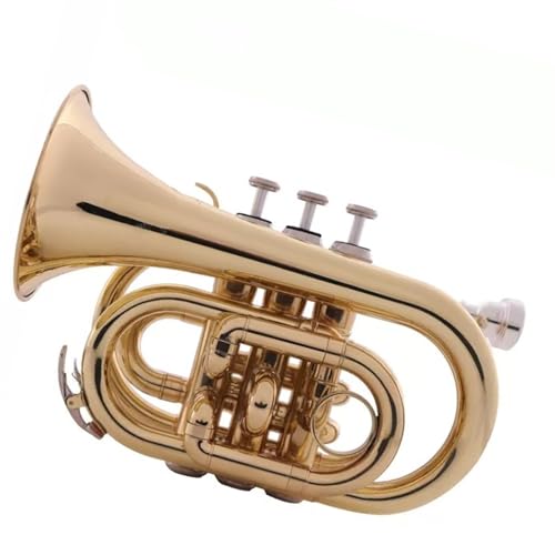 Tragbare Trompete B-Dur-Palmentrompete Taschenkornett Blechblasinstrument Nickel-Kupfer-Kolben von GUIXNYUNQ