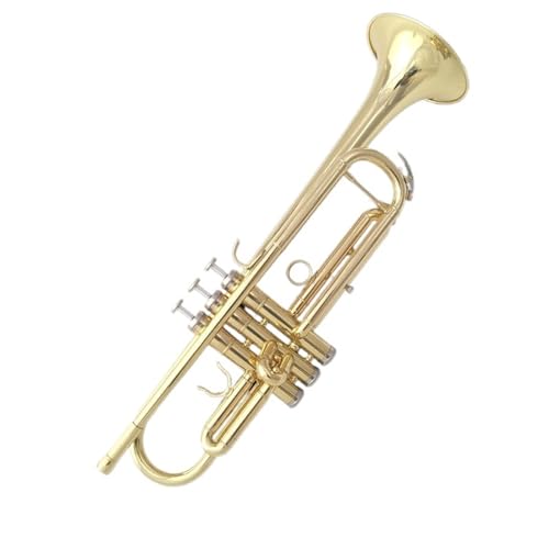 Trompete Messing Dreitontrompete In B Für Anfänger Für Trompetenspiel von GUIXNYUNQ
