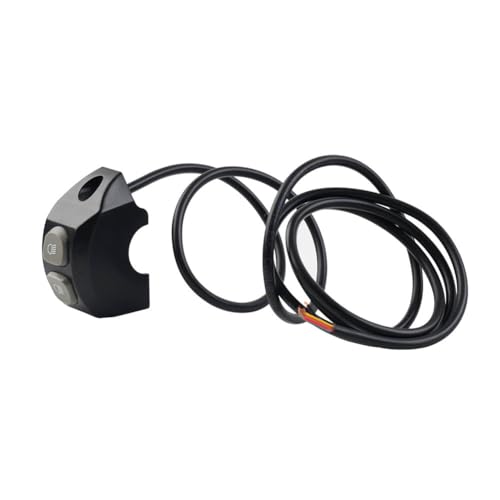 GZYF grau Nebelscheinwerfer Schalter Steuerung Lenkerschalter Knopf Motorrad Für F750GS/850GS R1200GS ADV LC 2014-2018 von GZYF
