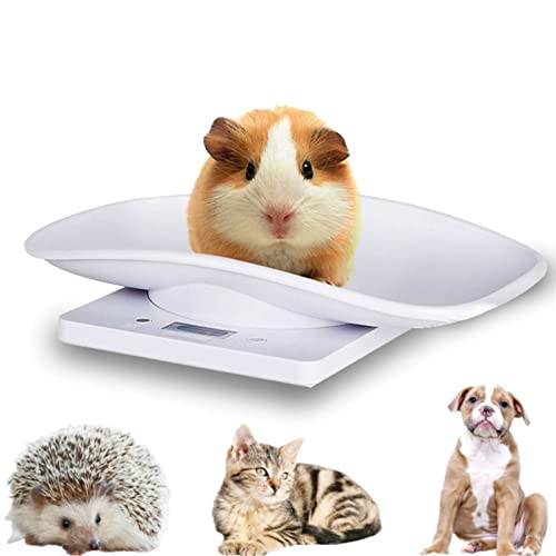Digitale Haustierwaage Katzenwaage 10 kg/1 g Küchenwaage digitale Haustierwaage mit 4 Wiegemodi (kg/oz/lb/ml) kleine digitale Waage Babywaage für kleine Haustiere, Küche, Baby (max Last 10 kg) von Gaeirt