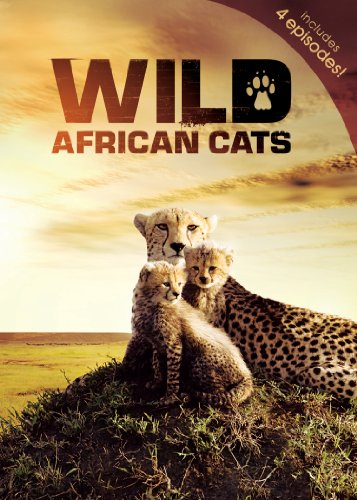 Wild African Cats [DVD] [Import] von Gaiam