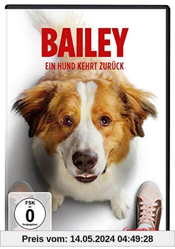 Bailey - Ein Hund kehrt zurück von Gail Mancuso