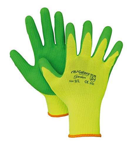 Galaxy Safety – Handschuhe aus Latex für Galaxy Garden 207 von Galaxy Safety