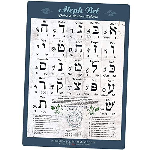 OLKIEQZ Biblical & Modern Hebrew Alphabet Poster UV Protected Sheet (A3 11.7x16.5in) Ancient Paleo Hebrew Alef Bet Learning Chart, Vowel Explanation for Basic Reading Skills, Hebrew Study Guide, Alep von OLKIEQZ