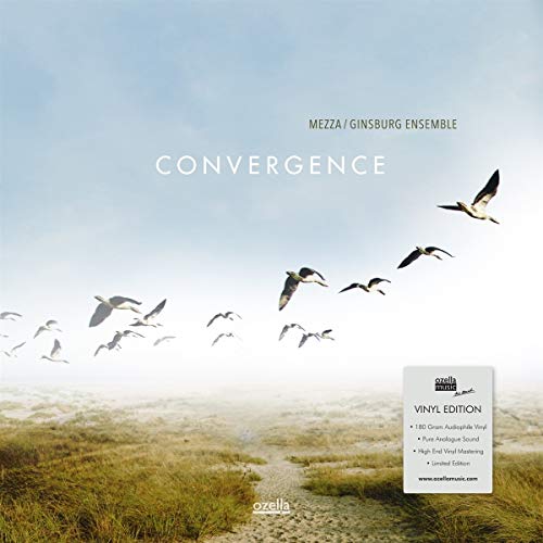 Convergence (180 Gramm Vinyl) [Vinyl LP] von Galileo Music Communication