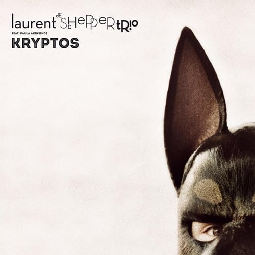 Kryptos/the Crypt (Kammerflimmer Kollektief Rmx) [Vinyl Single] von Galileo Music Communication