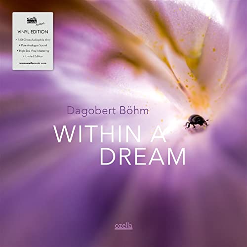 Within A Dream (180 Gramm Vinyl) [Vinyl LP] von Galileo Music Communication