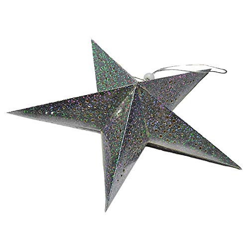 10 Stück - Sterne Anhänger Ø 45 cm versilbert Papier 10 Stück - Sterne Anhänger Ø 45 cm versilbert Papier von García de Pou