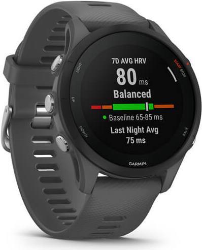 Garmin Forerunner 255 3,3 cm (1.3 ) MIP 46 mm Grau GPS (010-02641-10) von Garmin