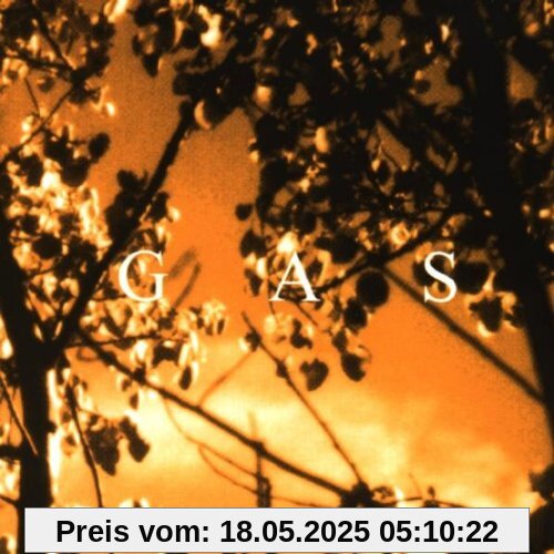 Königsforst Königsforst von Gas