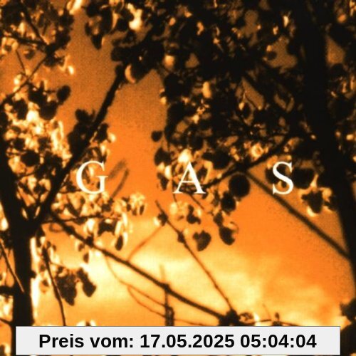 Königsforst von Gas