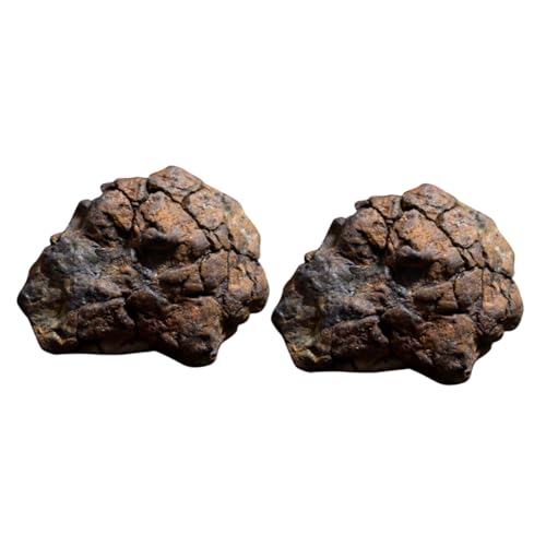 Gatuida Kinderspielzeug 4 Stück olivgrüner Meteorit Weltraum kleine Meteoritenfelsen Spielzeuge Lithosiderit-Meteorit Lehrexemplar Platz schmücken Modell Eisenmeteorit Probe Gatuida Kinderspielzeug 4 Stück olivgrüner Meteorit Weltraum kleine Meteoritenfelsen Spielzeuge Lithosiderit-Meteorit Lehrexemplar Platz schmücken Modell Eisenmeteorit Probe von Gatuida