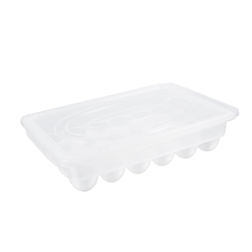 Gatuida Kunststoffbehälter 1 Stück Karton Mit 24 Eierschalen Korbeier Klarsichtboxen Zur Aufbewahrung von Gatuida