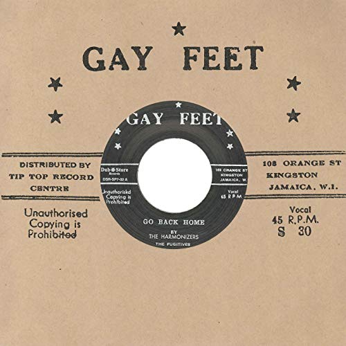 Go Back Home [Vinyl LP] von Gay Feet/Dub Store Records