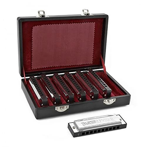 7-teiliges diatonisches Blues-Mundharmonika-Set für Einsteiger Silver mit Etui 7-teiliges diatonisches Blues-Mundharmonika-Set für Einsteiger Silver mit Etui von Gear4Music