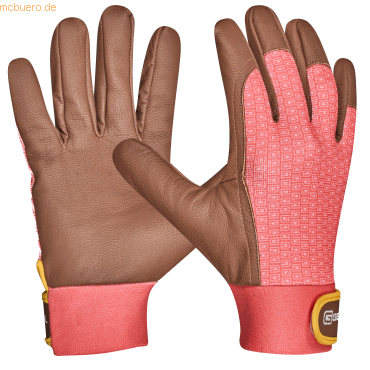 Gebol Handschuh Lonicera 780007_06 Gr.06 1 Paar Gebol Handschuh Lonicera 780007_06 Gr.06 1 Paar von Gebol
