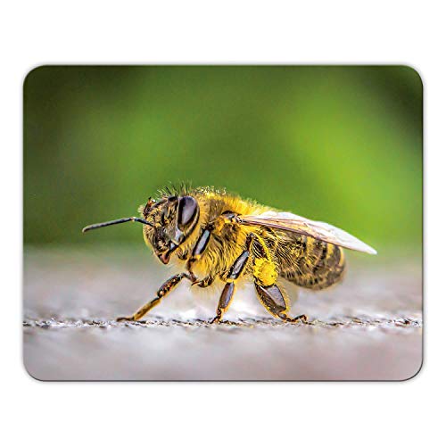 Addies Mousepad 'Biene' schönes Mauspad Motiv mit Kautschuk Untermaterial, 24x19cm MP14 Addies Mousepad 'Biene' schönes Mauspad Motiv mit Kautschuk Untermaterial, 24x19cm MP14 von Geist und Geschenk