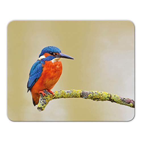 Addies Mousepad 'Eisvogel' schönes Mauspad Motiv in feiner Cellophan Geschenk-Verpackung mit Kautschuk Untermaterial, 24x19cm - MP05 von Geist und Geschenk