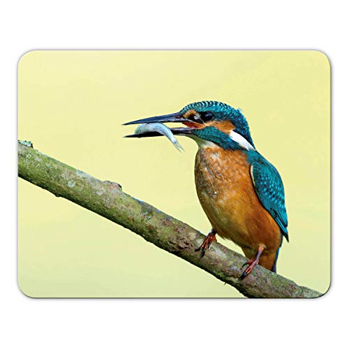 Addies Mousepad 'Eisvogel' schönes Mauspad Motiv in feiner Cellophan Geschenk-Verpackung mit Kautschuk Untermaterial, 24x19cm - MP09 Addies Mousepad 'Eisvogel' schönes Mauspad Motiv in feiner Cellophan Geschenk-Verpackung mit Kautschuk Untermaterial, 24x19cm - MP09 von Geist und Geschenk