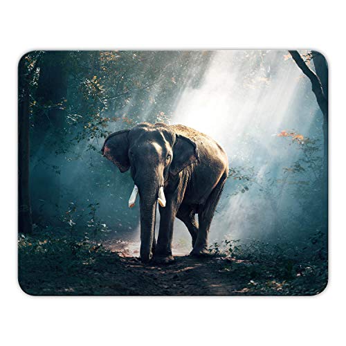 Addies Mousepad 'Elefant' schönes Mauspad Motiv in feiner Cellophan Geschenk-Verpackung mit Kautschuk Untermaterial, 24x19cm - MP05 von Geist und Geschenk