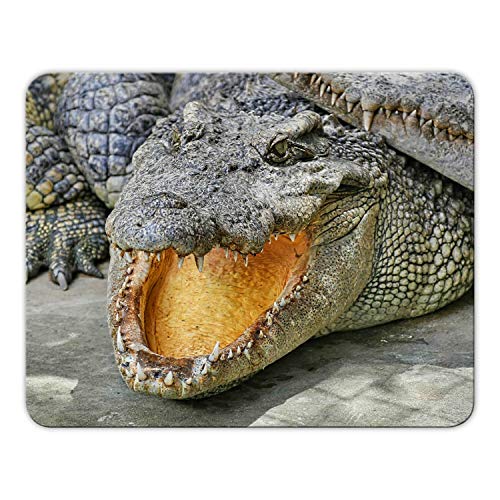 Addies Mousepad Krokodil schönes Mauspad Motiv mit Kautschuk Untermaterial, MP38 von Geist und Geschenk