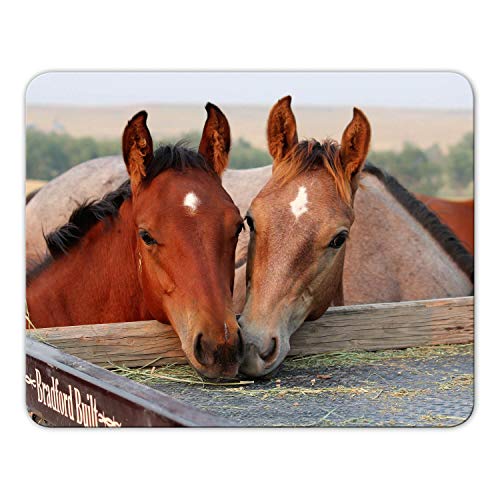 Addies Mousepad 'Pferde' schönes Mauspad Motiv mit Kautschuk Untermaterial, 24x19cm - MP02 von Ewbob