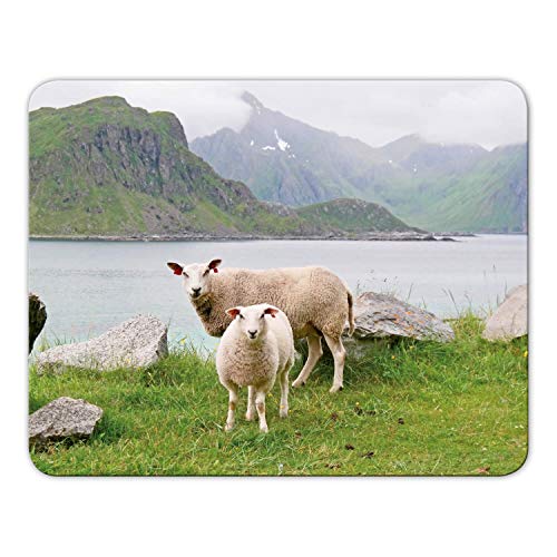 Addies Mousepad 'Schaf' schönes Mauspad Motiv in feiner Cellophan Geschenk-Verpackung mit Kautschuk Untermaterial, 24x19cm - MP14 Addies Mousepad 'Schaf' schönes Mauspad Motiv in feiner Cellophan Geschenk-Verpackung mit Kautschuk Untermaterial, 24x19cm - MP14 von Geist und Geschenk