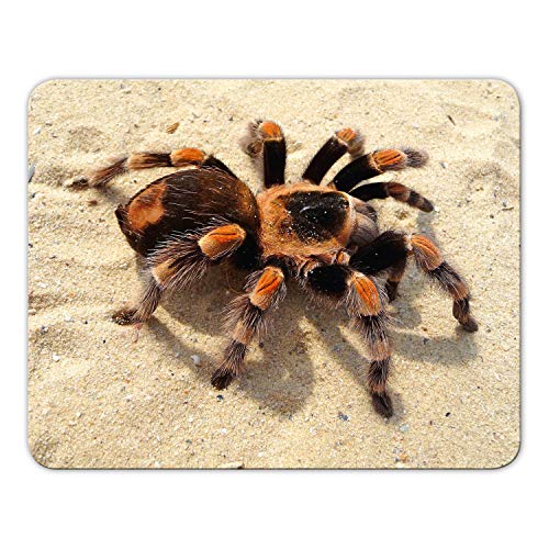 Addies Mousepad 'Spinne' schönes Mauspad Motiv mit Kautschuk Untermaterial, 24x19cm - MP18 Addies Mousepad 'Spinne' schönes Mauspad Motiv mit Kautschuk Untermaterial, 24x19cm - MP18 von Geist und Geschenk