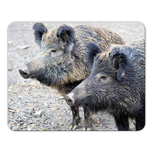Addies Mousepad 'Wildschwein' schönes Mauspad Motiv in feiner Cellophan Geschenk-Verpackung, 24 x19cm - MP02 Addies Mousepad 'Wildschwein' schönes Mauspad Motiv in feiner Cellophan Geschenk-Verpackung, 24 x19cm - MP02 von Geist und Geschenk