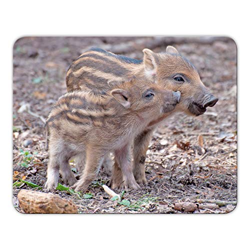 Addies Mousepad 'Wildschwein' schönes Mauspad Motiv in feiner Cellophan Geschenk-Verpackung, 24 x19cm - MP04 Addies Mousepad 'Wildschwein' schönes Mauspad Motiv in feiner Cellophan Geschenk-Verpackung, 24 x19cm - MP04 von Geist und Geschenk