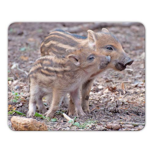 Addies Mousepad 'Wildschwein' schönes Mauspad Motiv in feiner Cellophan Geschenk-Verpackung, 24 x19cm - MP04 von Geist und Geschenk