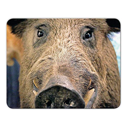 Addies Mousepad 'Wildschwein' schönes Mauspad Motiv in feiner Cellophan Geschenk-Verpackung, 24 x19cm - MP05 Addies Mousepad 'Wildschwein' schönes Mauspad Motiv in feiner Cellophan Geschenk-Verpackung, 24 x19cm - MP05 von Geist und Geschenk