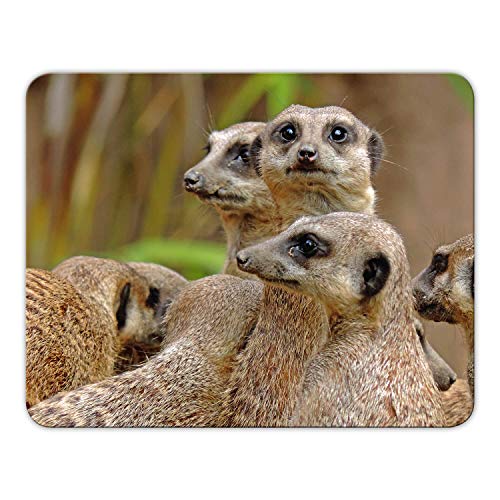 Geist und Geschenk Mousepad Bedruckt Erdmännchen Gang, 24x19cm, Brillanter Digitaldruck von Geist und Geschenk