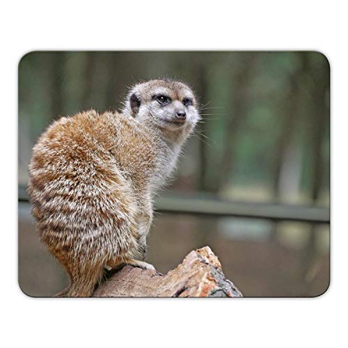 Geist und Geschenk Mousepad Erdmännchen Bedruckt, 24x19cm, Brillanter Digitaldruck MP04 von Geist und Geschenk