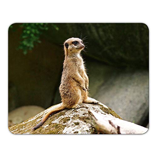 Mousepad Erdmännchen von 'Geist und Geschenk' Bedruckt, 24x19cm, Brillanter Digitaldruck MP12 Mousepad Erdmännchen von 'Geist und Geschenk' Bedruckt, 24x19cm, Brillanter Digitaldruck MP12 von Geist und Geschenk