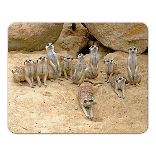 Mousepad Erdmännchen von 'Geist und Geschenk' Bedruckt, 24x19cm, Brillanter Digitaldruck MP19 Mousepad Erdmännchen von 'Geist und Geschenk' Bedruckt, 24x19cm, Brillanter Digitaldruck MP19 von Geist und Geschenk