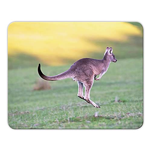 Mousepad 'Känguru' schönes Mauspad Motiv - 24 x19cm - MP07 Mousepad 'Känguru' schönes Mauspad Motiv - 24 x19cm - MP07 von Geist und Geschenk