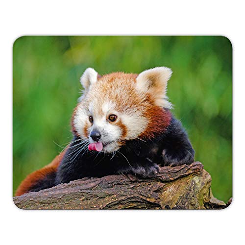 Mousepad Roter Panda von Geist und Geschenk, 24x19cm, brillanter Digitalidruck MP9 von Geist und Geschenk