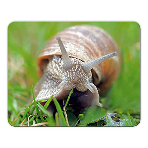 Mousepad 'Schnecke' schönes Mauspad Motiv - 24x19cm - MP07 Mousepad 'Schnecke' schönes Mauspad Motiv - 24x19cm - MP07 von Geist und Geschenk