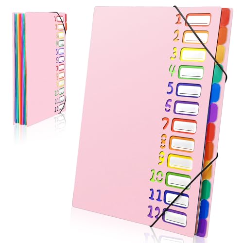 Gemtte Fächermappe A4, Mappen Ordnersystem mit 12 Fächern, 24 Taschen Dokumentenmappe Folder, Bunte Wasserdicht Ordnungsmappe für Schule Bürobedarf (Rosa) von Gemtte