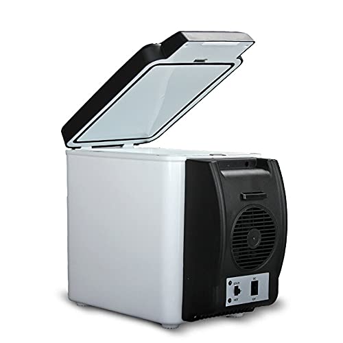 Auto-Kühlschränke, 12 V/220 V Mini-Kühlschrank, 6 Liter tragbarer Kühler und Wärmer, persönlicher Kühlschrank für Hautpflege, Kosmetik, Lebensmittel, ideal für Schlafzimm von Generic