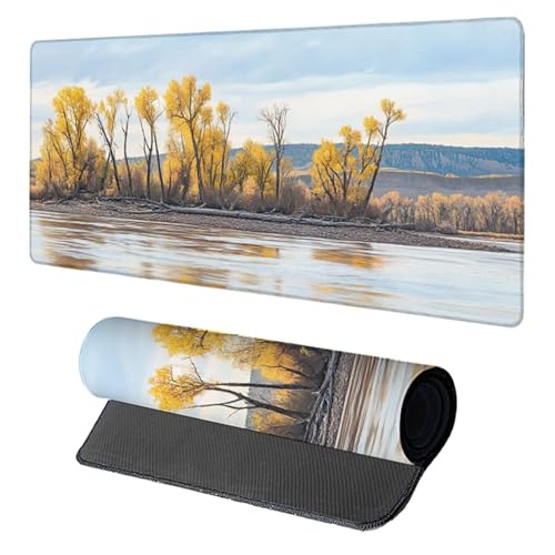 Baum Gaming Mauspad XXL, Schreibtischunterlage 1600x800x3mm, Wasserdicht und Langlebig Mauspad, Verbessert Präzision und Geschwindigkei Desk Mat, Gaming Zubehör, Mousepad für Büro PC, Gelb 2-4595 Baum Gaming Mauspad XXL, Schreibtischunterlage 1600x800x3mm, Wasserdicht und Langlebig Mauspad, Verbessert Präzision und Geschwindigkei Desk Mat, Gaming Zubehör, Mousepad für Büro PC, Gelb 2-4595 von Generic