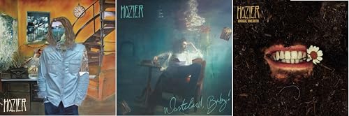 Hozier Collection 2014-2023: Hozier + Wasteland Baby! + Unreal Unearth (CD 3-Pack) von Generic