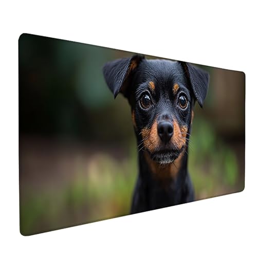 Hund Mauspad XXL 1500x800x3mm, Tier Mousepad Gaming, Schreibtischunterlage mit rutschfeste Gummibasis, Verbessert Präzision und Geschwindigkei Wasserdicht und Langlebig Desk Mat für Büro PC 2-2065 Hund Mauspad XXL 1500x800x3mm, Tier Mousepad Gaming, Schreibtischunterlage mit rutschfeste Gummibasis, Verbessert Präzision und Geschwindigkei Wasserdicht und Langlebig Desk Mat für Büro PC 2-2065 von Generic