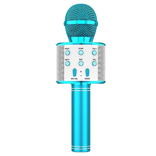 Karaoke-Mikrofon von Generic